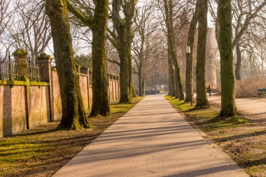 Avrupa, Belçika, Bruges, bir ormana giden yol.