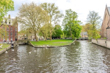 Bruges (Brugge) kanalı, bulutlu bir gökyüzü ile aydınlık bir yaz gününde Beguinage (Prinselijke Begijnhof van Wijngatte) köprüsü ve kapısında kuğu ile