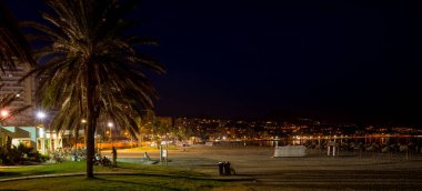 İspanya, Malaga, Avrupa, bulutlu bir gecede bir grup palmiye.