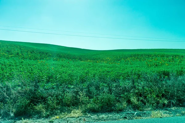 Espanha Ronda Europa Vista Cenica Campo Agrícola Contra Céu — Fotografia de Stock