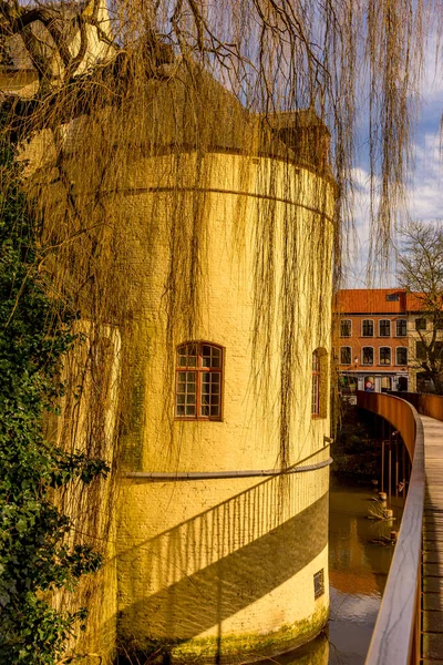 Bélgica Bruges Árvore Rasteira Lado Fosso Smendpoort — Fotografia de Stock