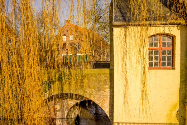 Belgie Bruggy Dveře Oknem Smedenpoort — Stock fotografie