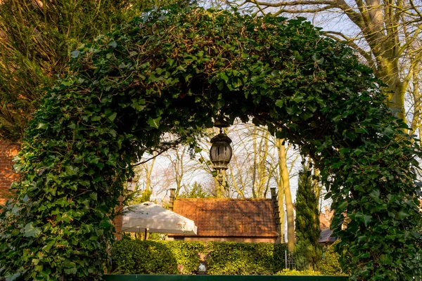 Belçika Bruges Sarmaşık Kemerinin Altında Bir Lamba — Stok fotoğraf