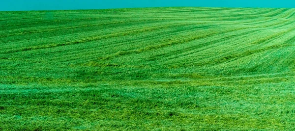 Španělsko Ronda Evropa Scenic View Agricultural Field Ain Sky — Stock fotografie