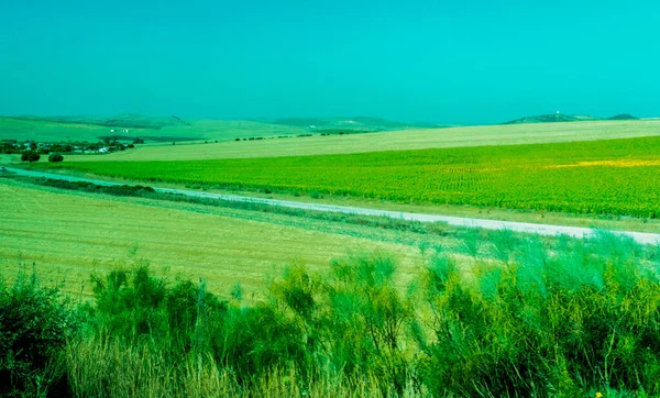 España Ronda Europa Vista Escena Del Ámbito Agrícola Contra Cielo — Foto de Stock