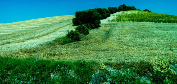 Espanha Ronda Europa Vista Cenica Campo Agrícola Contra Céu — Fotografia de Stock
