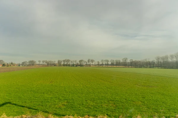 Europa Bélgica Bruges Grande Campo Verde Com Árvores Fundo — Fotografia de Stock