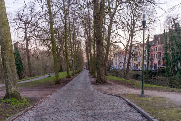 Bélgica Bruges Árvores Estéreis Longo Caminho — Fotografia de Stock