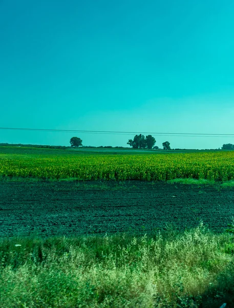 Espagne Ronda Europe Vue Scénique Domaine Agricole Contre Ciel Bleu — Photo