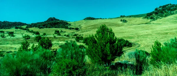 スペイン ロンダ ヨーロッパ 澄んだ空に対する農業分野の科学的見解 — ストック写真