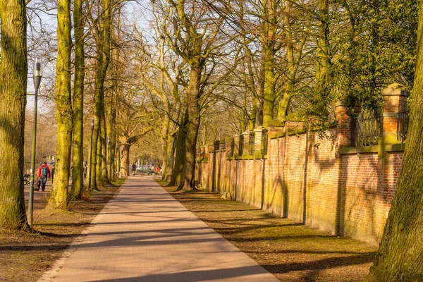 Europa Bélgica Bruges Caminho Com Árvores Lado Uma Cerca — Fotografia de Stock