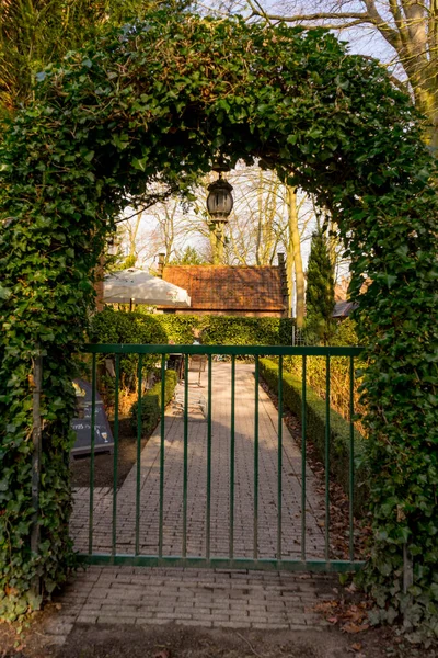 Avrupa, Belçika, Bruges, çitin yanındaki yeşil çalılar