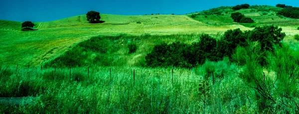 Spain Ronda Europe Scenic View Agricultural Field Sky — 스톡 사진