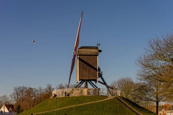 Bélgica Bruges Uma Torre Relógio Topo Campo Coberto Grama Com — Fotografia de Stock