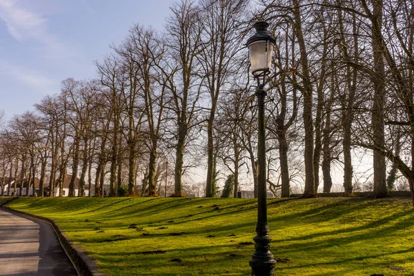 Europa Bélgica Bruges Grande Campo Verde Com Árvores Fundo — Fotografia de Stock