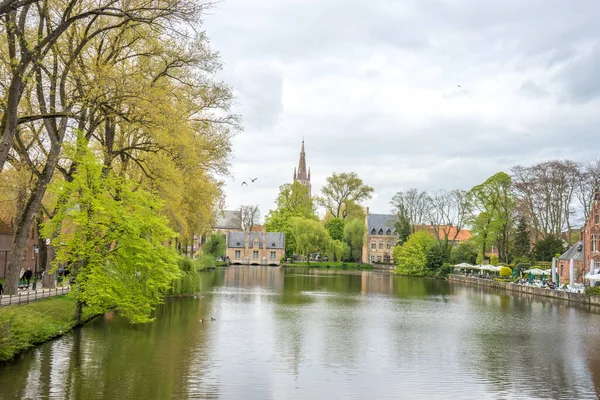 Birds Fly Lake Love Bruges Belgium Europe — Stock Photo, Image