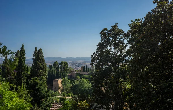 スペイン グラナダ ヨーロッパ ツリーとクリアスカイに対して市内の植物 — ストック写真