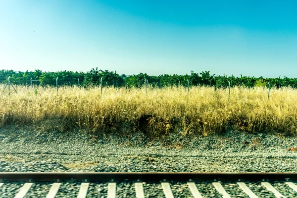 Spanien Cordoba Europa Scenic Von Field Gegen Clear Sky — Stockfoto