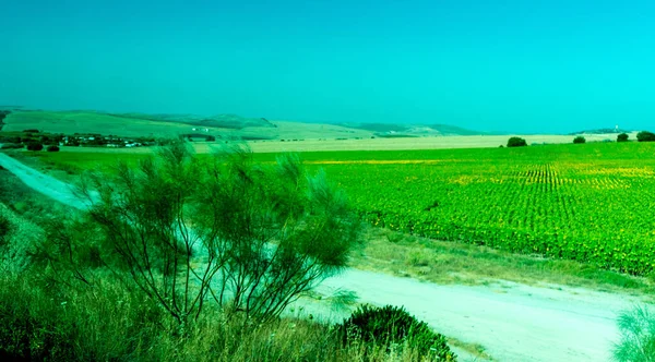 Espanha Ronda Europa Vista Cenica Campo Agrícola Contra Céu — Fotografia de Stock