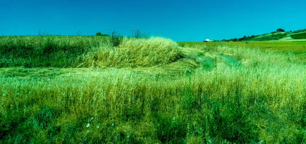 Espanha Ronda Europa Vista Cenica Campo Agrícola Contra Céu — Fotografia de Stock