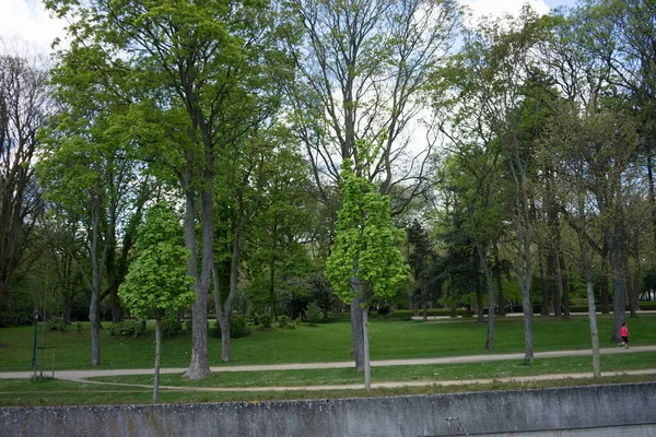 Trees Grden Ciry Brussels Belgium Europe — Stock Photo, Image