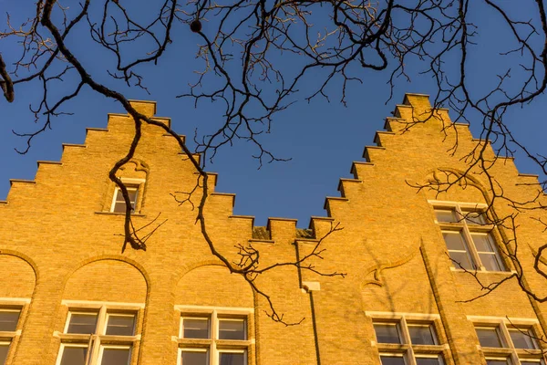 Avrupa Belçika Bruges Bir Bina Haritası — Stok fotoğraf