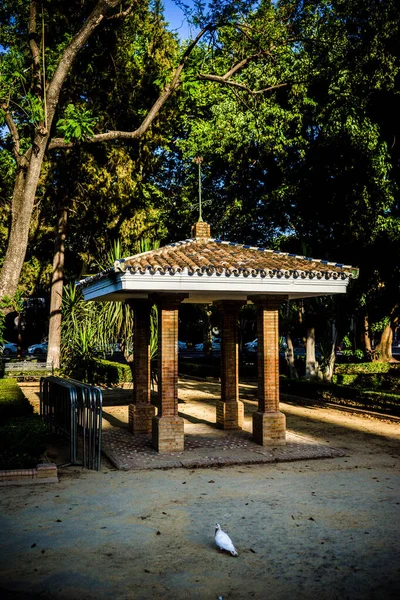 Іспанія Севілья Європа Газебо Парк — стокове фото
