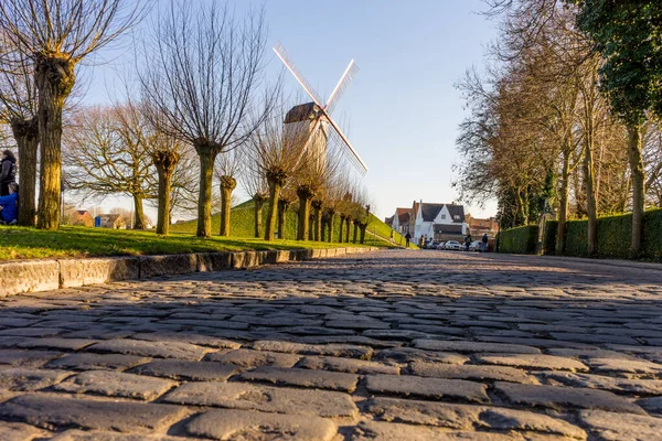 Belgium Bruges Tree Dirt Road Windmill — Stock Photo, Image