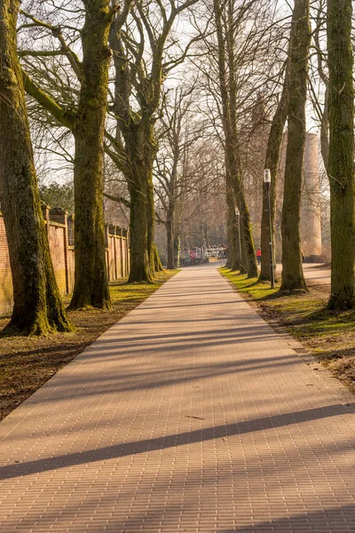 Europa Bélgica Bruges Caminho Que Conduz Uma Floresta — Fotografia de Stock