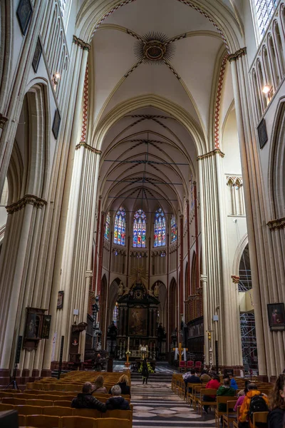 Het Plafond Van Sint Salvatorskathedraal Brugge België Europa Een Zonnige — Stockfoto