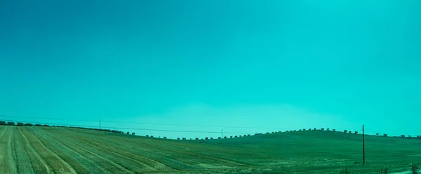 Spain Ronda Europe Scenic View Field Clear Blue Sky — стоковое фото