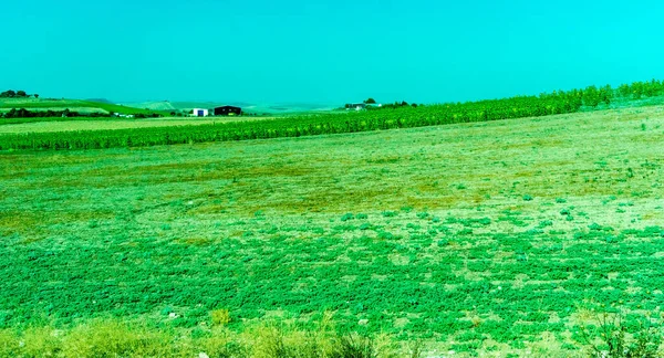 Espagne Ronda Europe Vue Scénique Domaine Agricole Contre Ciel — Photo