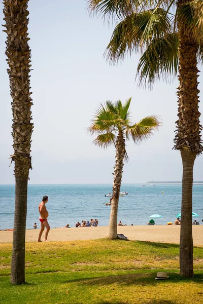 Spanyolország Malaga Európa Egy Csoport Ember Tengerparton Egy Pálmafa — Stock Fotó