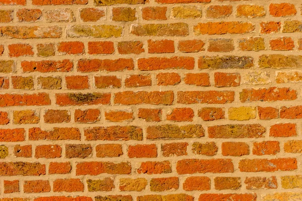 Бельгия Брюгге Стена Красных Бриков — стоковое фото