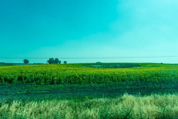 Espanha Ronda Europa Vista Única Campo Contra Céu Azul — Fotografia de Stock