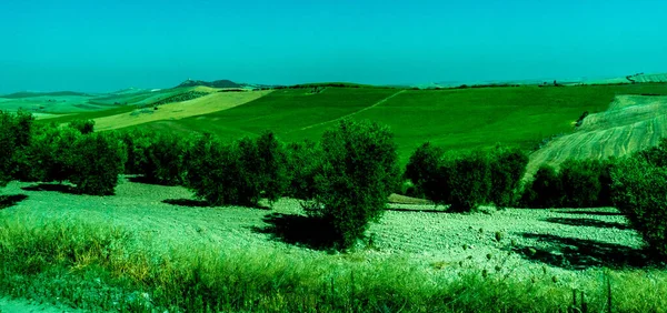 Spain Ronda Europe Scenic View Agricultural Field Sky — 스톡 사진