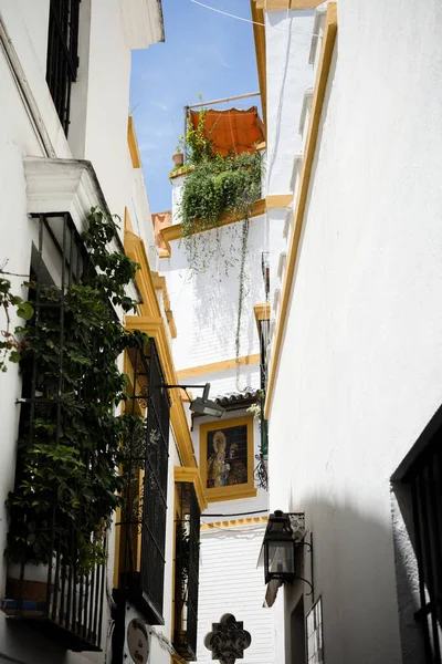 Испания Севилья Европа Low Angle Vow Buildings Против — стоковое фото