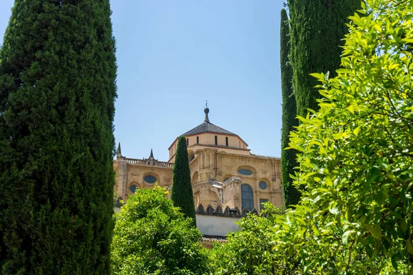 Spagna Cordova Europa Moschea Storica Chiesa Cordova Contro Cielo Chiaro — Foto Stock