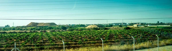 Spain Cordoba Europe Scenic View Agricultural Field Sky — 스톡 사진