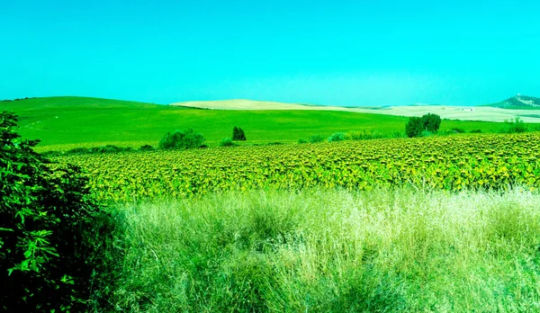 Hiszpania Ronda Europa Sceniczny Widok Rolniczego Przedsiębiorstwa Powietrznego — Zdjęcie stockowe