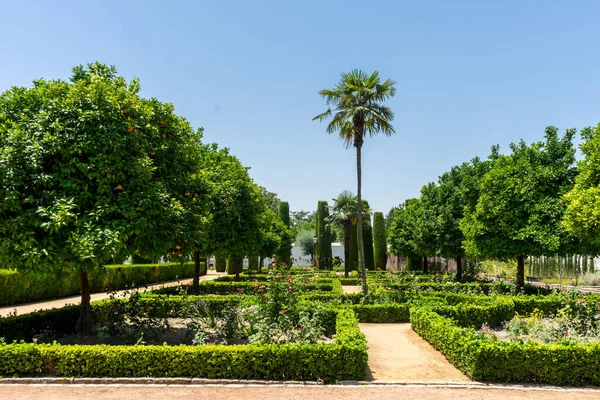 España Córdoba Europa Árboles Jardín Contra Cielo Claro —  Fotos de Stock