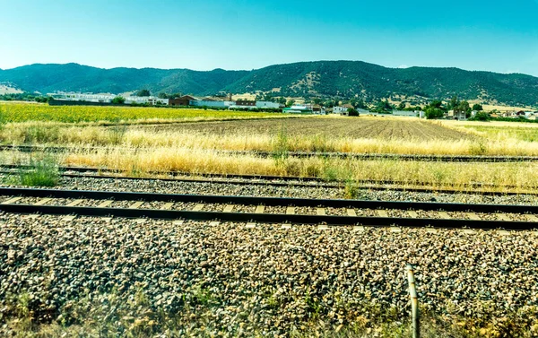 Spanien Cordoba Europa Scenic Von Field Gegen Clear Sky — Stockfoto