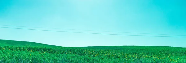 Spain Ronda Europe Scenic View Field Clear Blue Sky — Stock Photo, Image