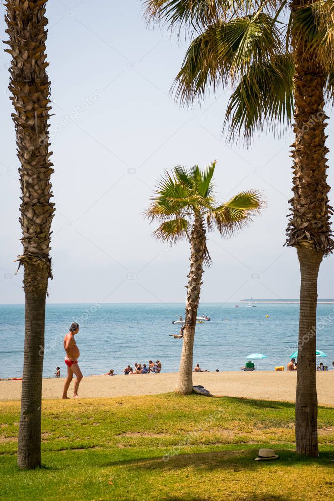 Spain, Malaga, Europe,  a group of people on a beach with a palm tree