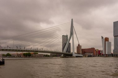 Rotterdam, Hollanda - 16 Temmuz 2016: Erasmus Köprüsü. 284 metre uzunluğundaki köprü Ben van Berkel (UNStudio) tarafından tasarlandı ve Kop van Zuid 'i şehir merkezine bağlıyor. Takma adı Kuğu..