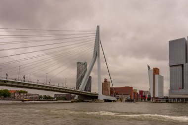 Rotterdam, Hollanda - 16 Temmuz 2016: Erasmus Köprüsü. 284 metre uzunluğundaki köprü Ben van Berkel (UNStudio) tarafından tasarlandı ve Kop van Zuid 'i şehir merkezine bağlıyor. Takma adı Kuğu..