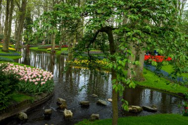 Lisse, Hollanda - 22 Nisan: Keukenhoff 'taki su göleti, Tulip Gardens