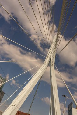 Rotterdam, Hollanda - 27 Mayıs 2017: Rotterdam 'daki Erasmus Köprüsü. Rotterdam, Hollanda 'nın Güney Hollanda eyaletinde yer alan bir şehirdir.