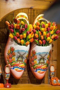 Zaanse Schans - 20 Mayıs: Çok renkli ahşap takunyalar ve sergilenen laleler. Zaanse Schans bir Unesco dünya mirası sahası.