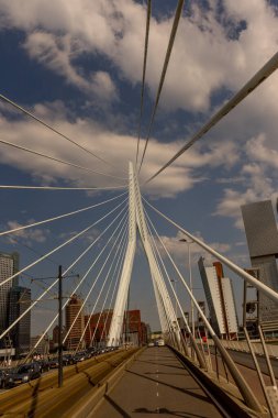 Rotterdam, Hollanda - 27 Mayıs 2017: Rotterdam 'daki Erasmus Köprüsü. Rotterdam, Hollanda 'nın Güney Hollanda eyaletinde yer alan bir şehirdir.